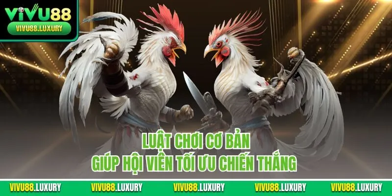 Luật chơi cơ bản giúp hội viên tối ưu chiến thắng